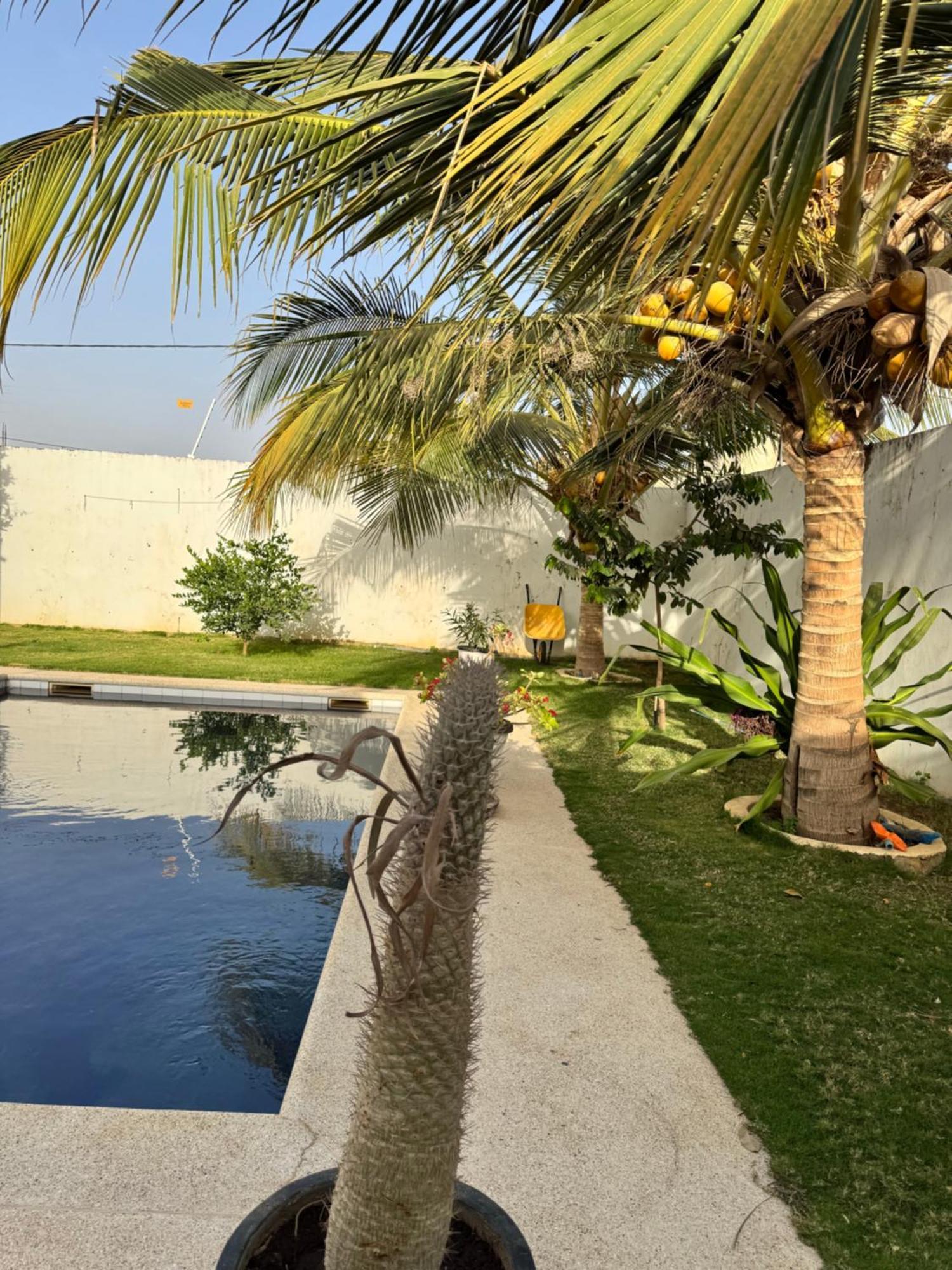 La Baraka, Extravagant Villa For 8 With Pool In Saly Gandigal Eksteriør billede